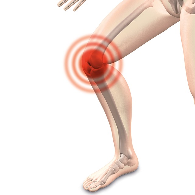 knee pain 